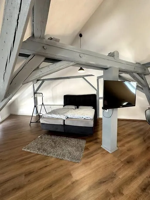 Appartement T-Apartments Marktheidenfeld